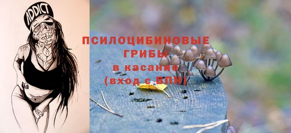 mix Алексин