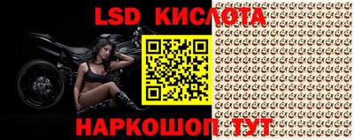 mdpv Новодвинск