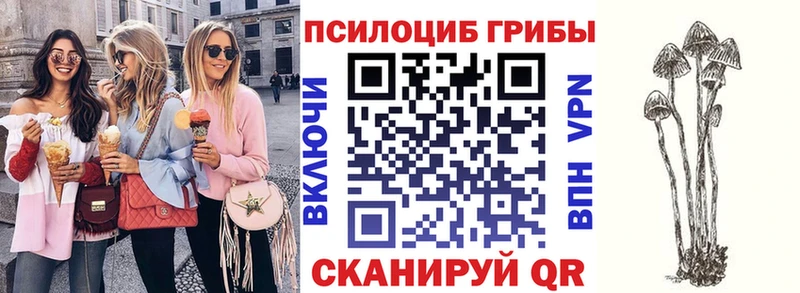 OMG ONION  продажа наркотиков  Североморск  Галлюциногенные грибы Psilocybine cubensis 