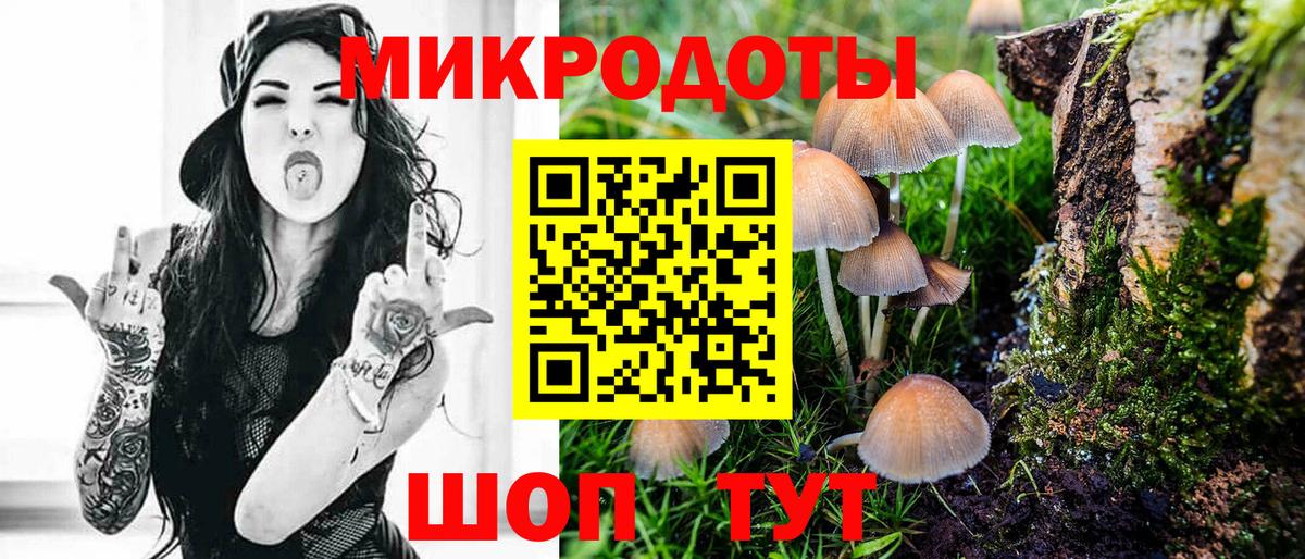 Галлюциногенные грибы мухоморы Североморск